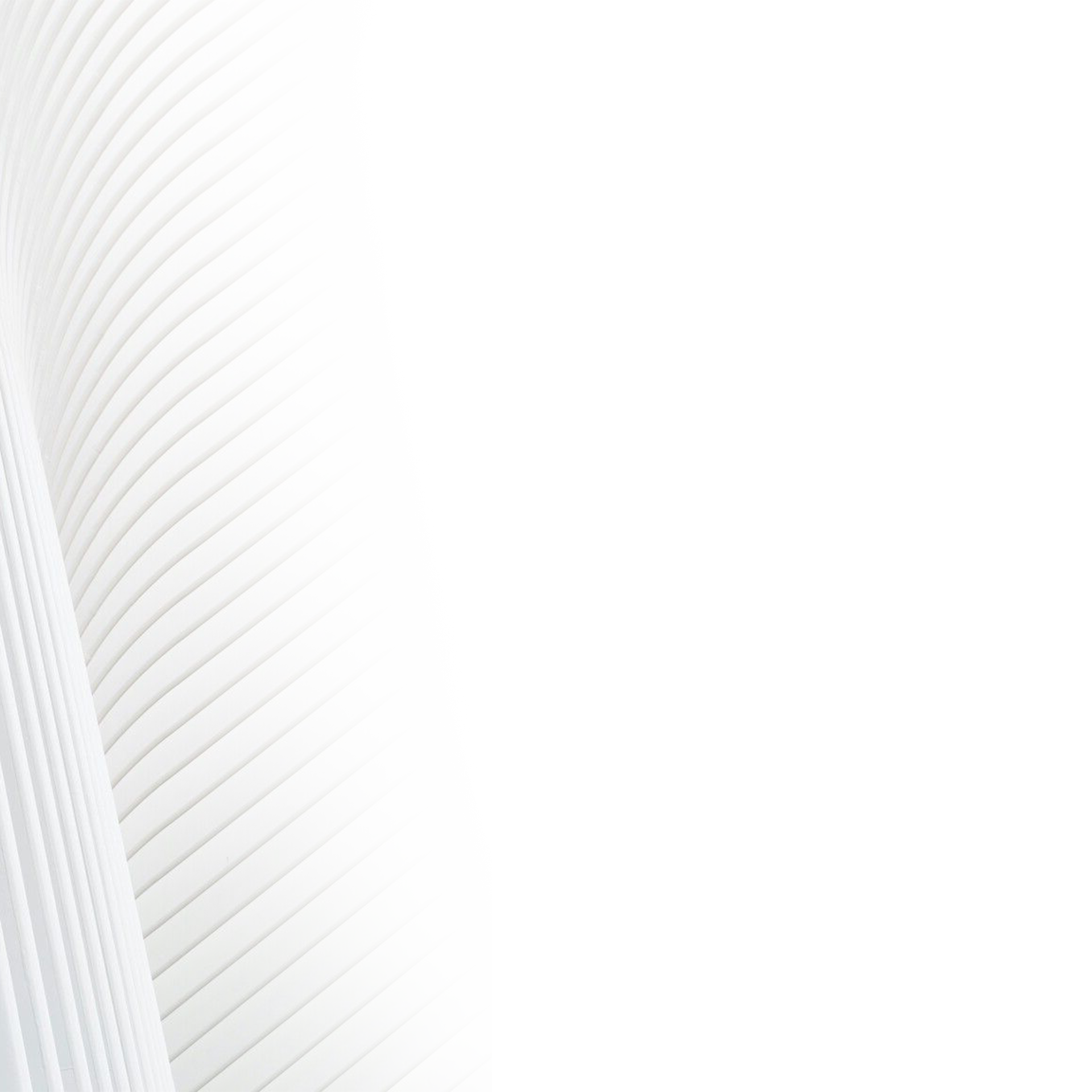 Background Pattern